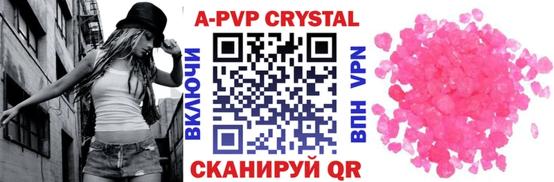 Alfa_PVP СК  Пошехонье 