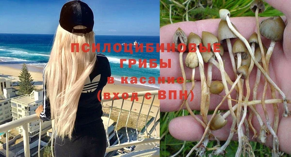 а пвп мука Абдулино