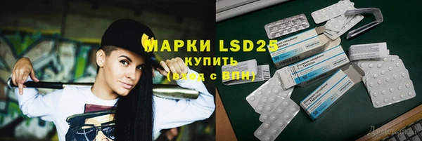 стафф Алзамай