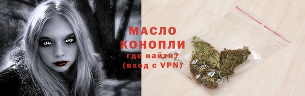 прущие грибы Абаза