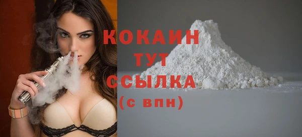 прущие грибы Абаза