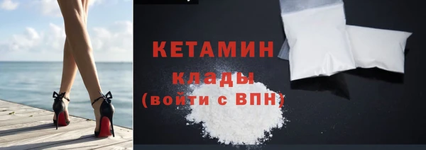 прущие грибы Абаза