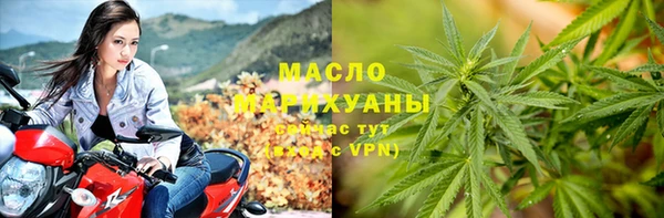 прущие грибы Абаза
