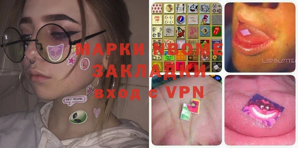 прущие грибы Абаза