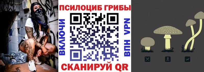 где продают наркотики  Пошехонье  Галлюциногенные грибы MAGIC MUSHROOMS 